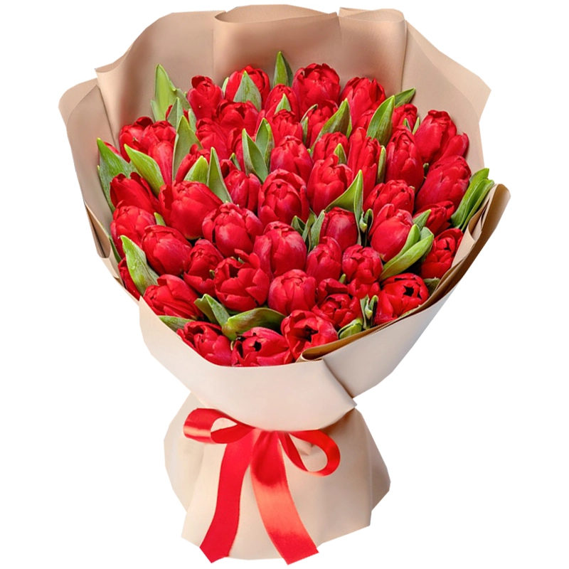 51 красный тюльпан