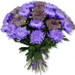 Хризантемы одноголовые микс